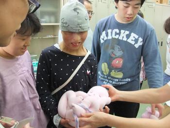 赤ちゃんの人形を触る生徒の写真