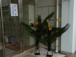 文化祭展示