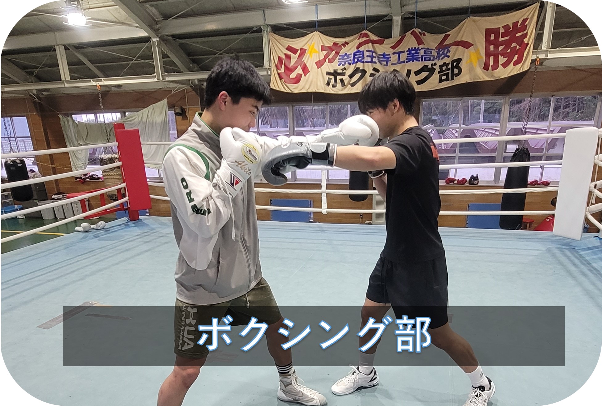 ボクシング部