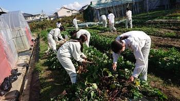 動物活用コース（農業科学科） - 奈良県立磯城野高等学校